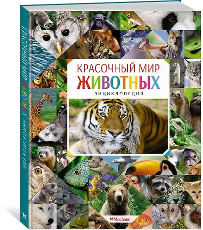 Красочный мир животных - фото 2