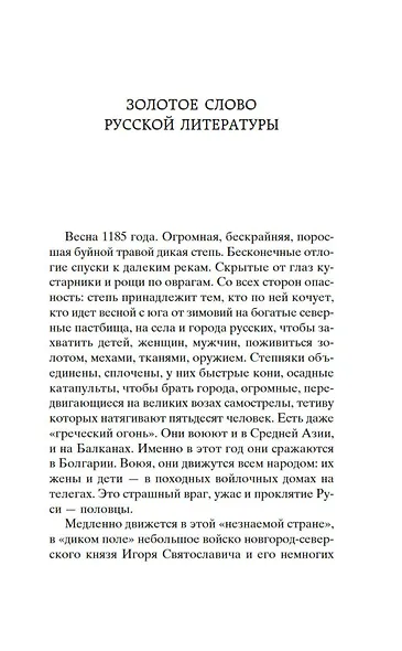 Слово о полку Игореве - фото 11