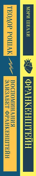 Набор "Франкенштейн" и его переосмысление в "Воспоминания Элизабет Франкенштейн" (из 2-х книг) - фото 6