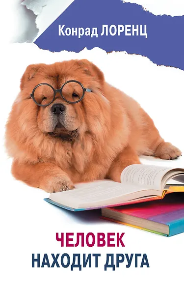 Человек находит друга - фото 1