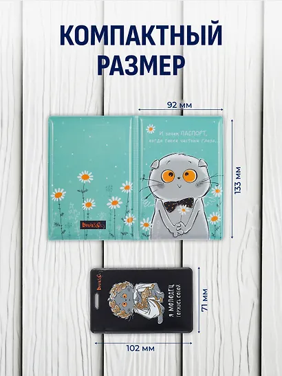 Набор обложка д/ паспорта и чехол д/карточек Басик - фото 4