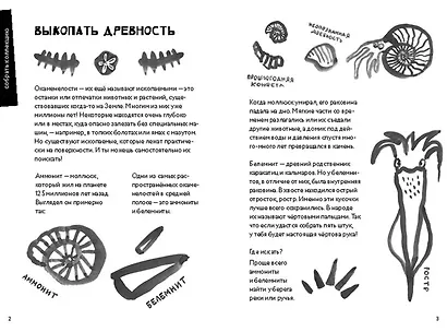 50 познавательных игр на природе - фото 2