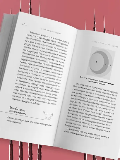 Кошачий закон и порядок. Как найти общий язык с кошкой и не стать жертвой ее капризов - фото 12