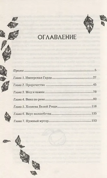 Анима. Серебряный Ястреб - фото 2