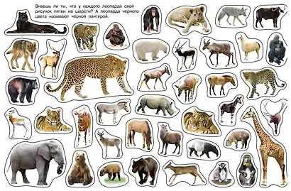 Дикие животные - фото 2