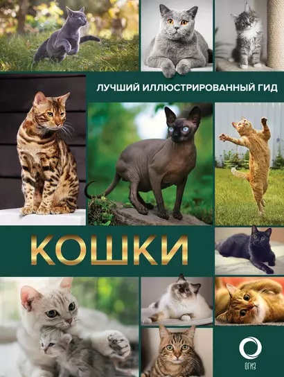 Кошки. Лучший иллюстрированный гид - фото 1