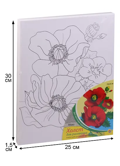 Набор для творчества, Рыжий Кот, Холст с красками Маки 25*30см Х-9828 - фото 2