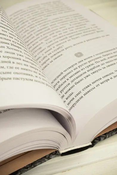 Руны земли - фото 14