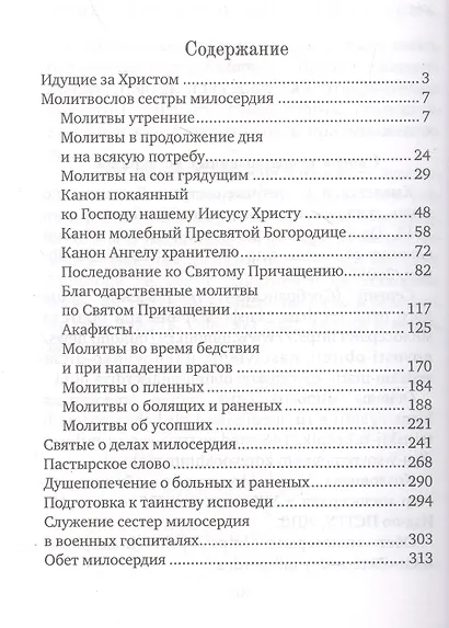 Спутник сестры милосердия - фото 3