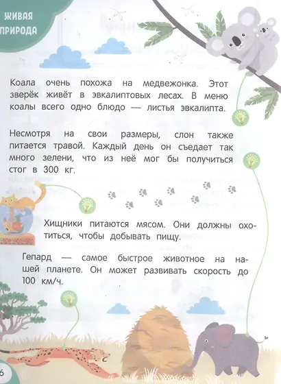 Моя первая книга открытий: для детей от 4-х лет - фото 5