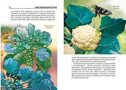 Самые удивительные растения. - фото 4