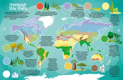 Мир животных в картинках - фото 6