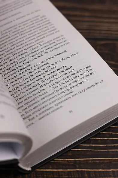 Центурион. Орлы над Дунаем - фото 9