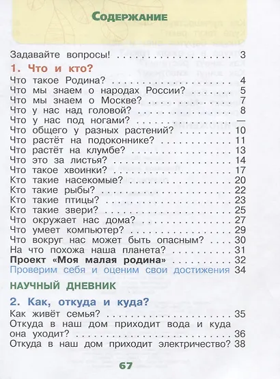 Окружающий мир. Рабочая тетрадь. 1 класс (комплект из 2 книг) - фото 2