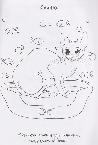 Породы котов. Книжка-раскраска с наклейками - фото 4