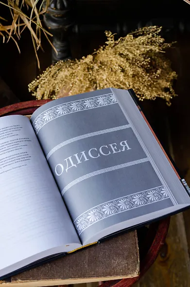 Илиада. Одиссея - фото 12