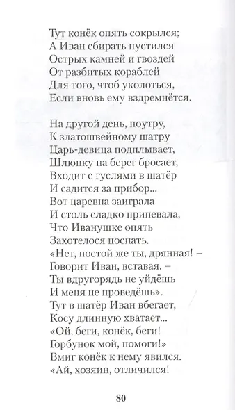 Конек-горбунок - фото 5
