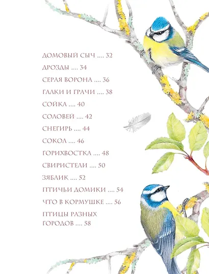 Птицы в городе - фото 9