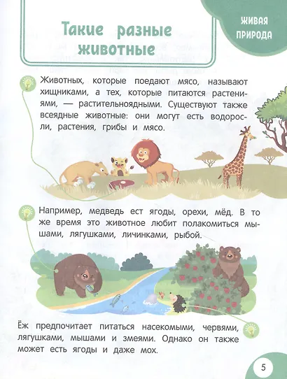 Моя первая книга открытий: для детей от 6 лет - фото 4