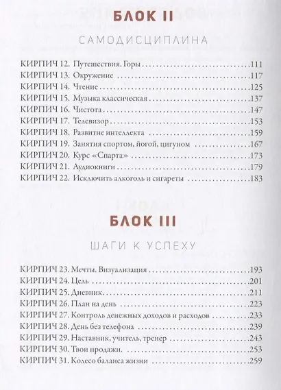 50 кирпичей успеха - фото 3