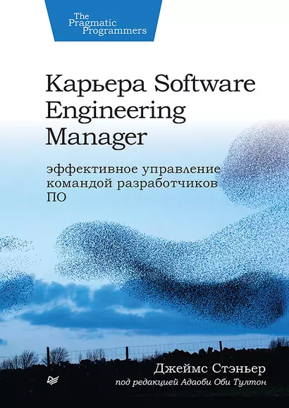 Карьера Software Engineering Manager. Эффективное управление командой разработчиков ПО - фото 1