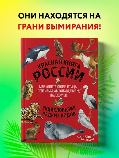 Красная книга России: животные, растения, птицы, насекомые. Энциклопедия редких видов - фото 4