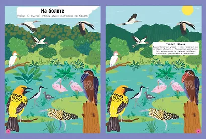 Наша планета в играх и головоломках - фото 4