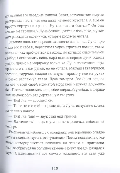 Хроники Драгомира. Книга 1. За гранью сияния - фото 4