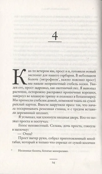 Сварить медведя - фото 2