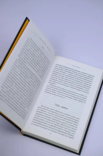 Наш двор - фото 7