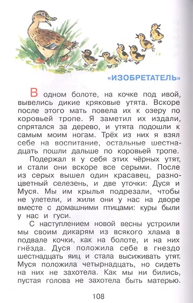 Природа вокруг нас - фото 5