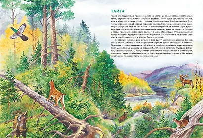 Природа России. Иллюстрированная энциклопедия - фото 11