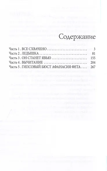 И снег будет падать на крышу - фото 3
