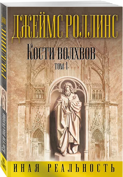 Кости волхвов. Том 1 - фото 3