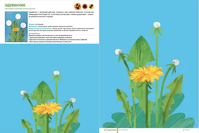 Жужа. Большой альбом для совместного творчества с малышом 1+ - фото 11