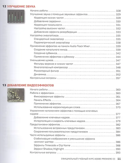 Adobe Premiere Pro CC. Официальный учебный курс + DVD - фото 10