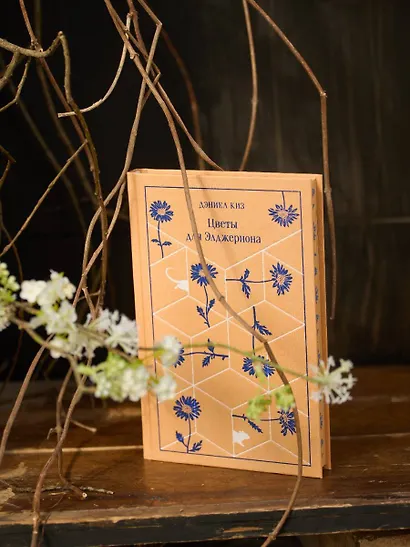 Цветы для Элджернона - фото 12