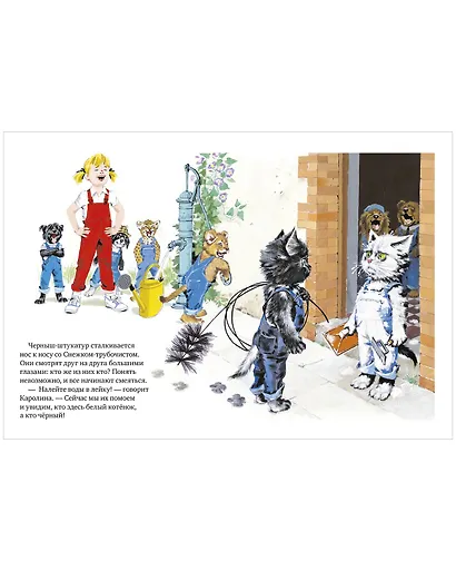 Каролина и ее друзья покупают дом - фото 4