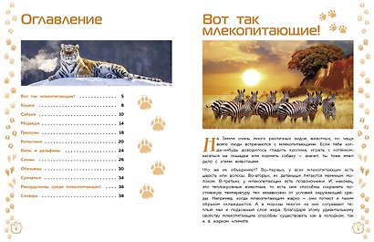 Млекопитающие - фото 4