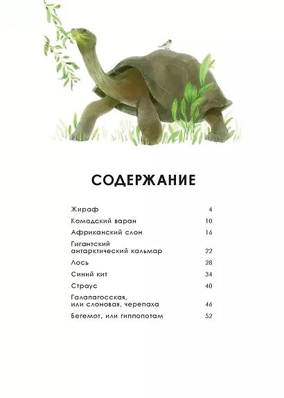 Животные-гиганты - фото 2