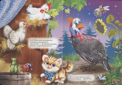 Это кто? (белка) - фото 4