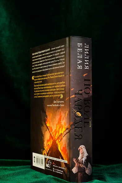 По воле чародея - фото 7