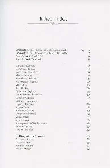 Фантастические кошки (на итальянском языке) - фото 2
