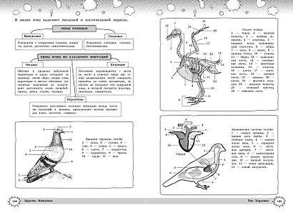 Биология - фото 10