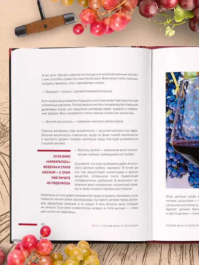 Домашнее виноделие от А до Я: виноградное вино. Пошаговое руководство - фото 9