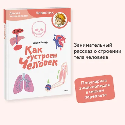 Как устроен человек. Детская энциклопедия (Чевостик) (Paperback) - фото 4