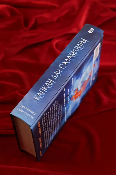 Капкан для саламандры - фото 8