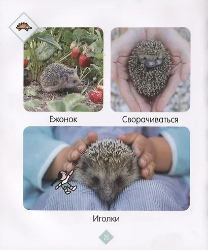 Главная книга малыша. Зверята. Фотокнига - фото 4