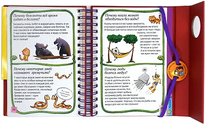 Скажи мне почему? - фото 8