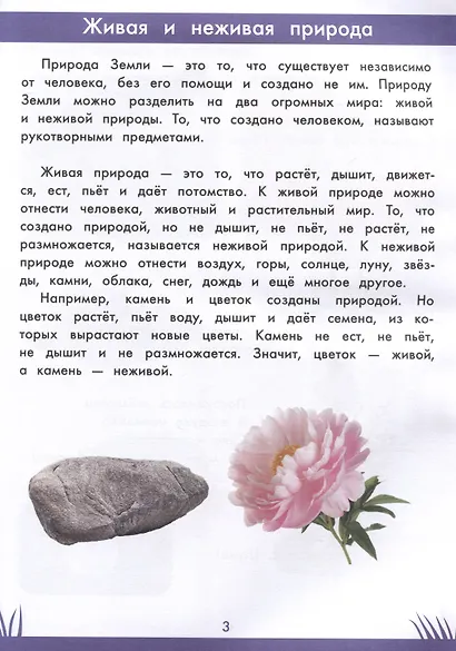 Книга знаний дошкольника. 5-6 лет: окружающий мир и многое другое - фото 3